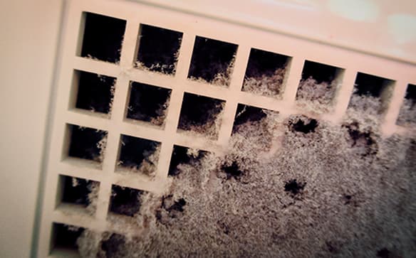 Powerful Vacuuming & Debris Removal